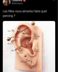 a fake ear with piercings attached to it and the caption says,'les files vous ameriezz faire quel percing?