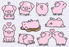 pigs with different shapes and sizes