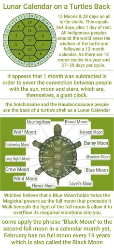 an info sheet describing how to use the moon for turtle numbers and their meaningss