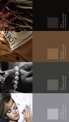 Brown And Grey Colour Palette, Black And Brown Palette, Classic Color Pallete, Cool Brown Color Palette, Exclusive Color Palette, Grey Brown Colour Palette, Grey Color Palette For Home, Black Brown Color Palette, Brown Grey Color Palette