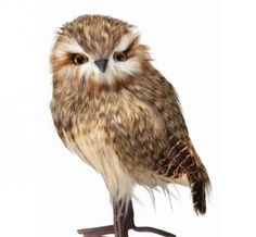 an owl sitting on top of a wooden stand