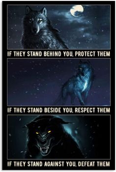 two wolfs with the caption if they stand behind you protect them