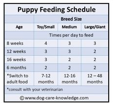 the puppy feeding schedule is shown in this graphic above it's size and weight