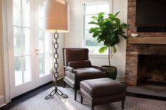 a living room filled with furniture and a large potted plant on top of a table