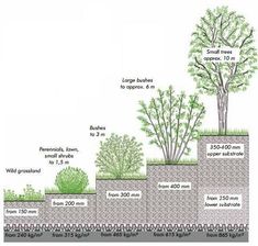 a diagram showing the different types of trees and how they are planted in pots on top of each other