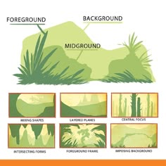 an image of the different types of plants