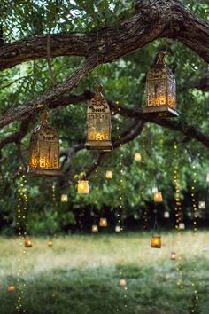 lanterns hanging from a tree with string lights