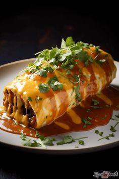 an enchilada on a plate with sauce and garnish