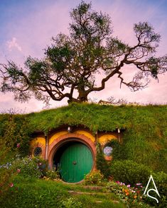 a green hobbot house with a tree growing out of it's side