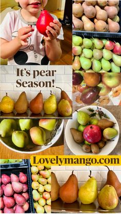 there are many different pictures of pears and apples in the photo, with text overlay that says it's pear season