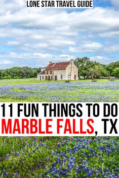 the cover of lone star travel guide, featuring bluebonnets and an old house