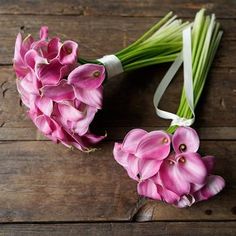 Pink Mini Calla Bouquet Calla Bouquet, Calla Lily Centerpieces, Lily Centerpieces, Pink Calla Lilies, Mini Calla Lilies, Calla Lily Bouquet, Small Centerpieces, Stock Flower, Lily Bouquet