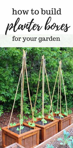 three wooden planters with plants in them and the words how to build planter boxes for your garden