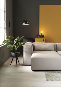 a living room with a couch, table and potted plant on the floor in front of a yellow wall