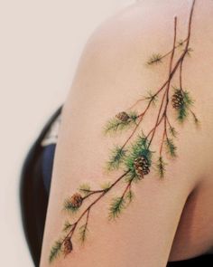 the back of a woman's shoulder with pine cones and needles on her arm