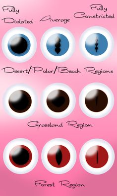 an image of different types of eyes on a pink background with the names and colors