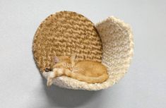 a cat sleeping in a small bed on top of a white table next to a wall