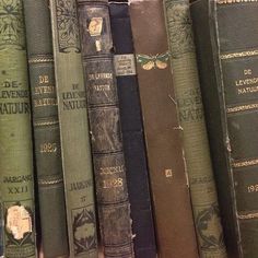 several old books are lined up on a shelf