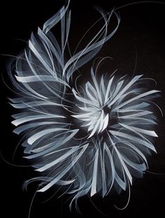 an abstract painting of white flowers on a black background with swirls and curves in the center