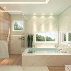 a bathroom with a large jacuzzi tub next to a window