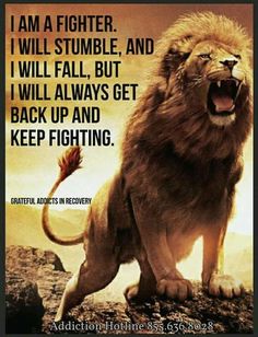 Fearless Wallpaper, Lion Symbolism, Leo Zodiac Facts, Lion Artwork, Lion Photography, Quotes About Everything, Weird Quotes Funny, Positive Quotes For Life Motivation