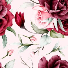 watercolor painting of red and pink roses on a white background