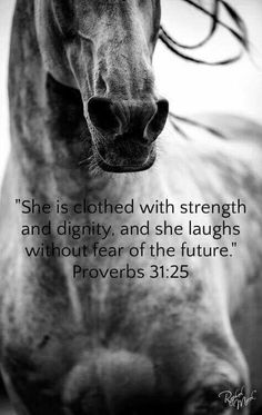 a black and white photo of a horse with a bible verse on it's side