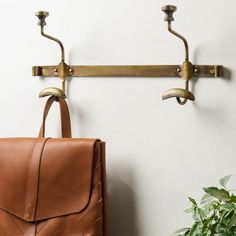 a brown leather backpack hanging on a wall next to a pair of brass hooks and a potted plant