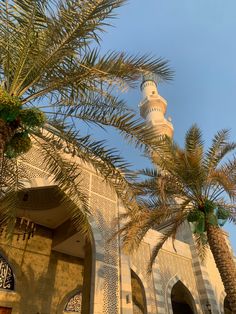 palm trees beige sky Aesthetic Mosque, Palm Trees Aesthetic, F1 Circuits