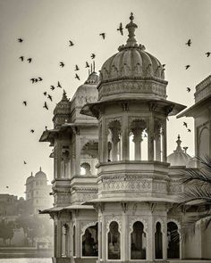 black and white photograph of an ornate building with birds flying around