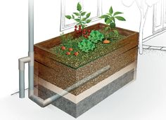 an image of a planter box with plants growing out of it's sides