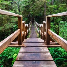 a wooden bridge in the middle of a forest