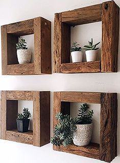 three wooden square shelves with plants on them