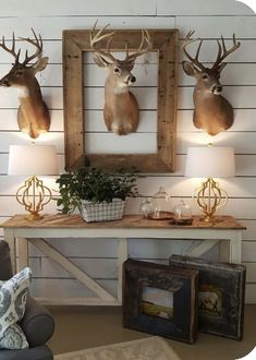 three deer heads mounted to the wall above a table with two lamps on top of it