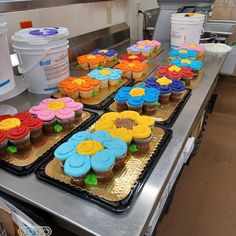 cupcakes are lined up on trays in the kitchen, ready to be eaten