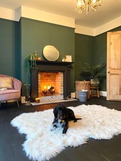 a dog laying on a shaggy rug in front of a fireplace