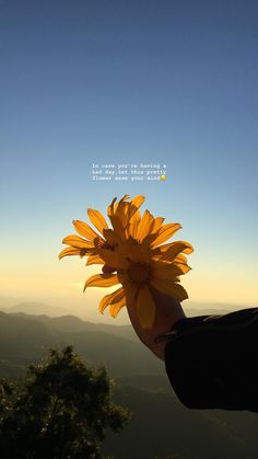 a person holding up a yellow flower with a quote on the back ground above it