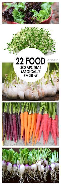 several pictures of carrots and lettuce with the words 22 food scraps that make