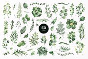 an illustrated set of plants and leaves with the number 50 printed on it's side