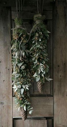 two pine cones hanging from the side of a wooden door with greenery and berries