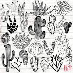 a bunch of cactus plants on a wooden background