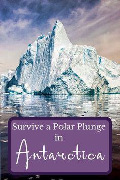 an iceberg floating in the ocean with text overlay saying survive a polar plunge in antavitica