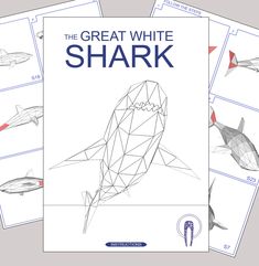 the great white shark coloring book