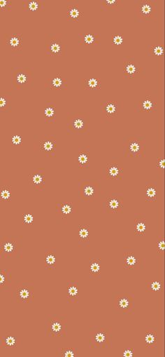 an orange background with white daisies and dots on the bottom half of the image