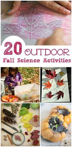 fall science activities for kids to do outside