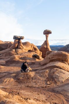 some rocks and trees in the desert under a blue sky