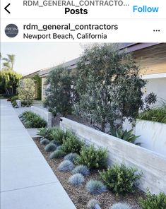 a sidewalk lined with plants and trees next to a building