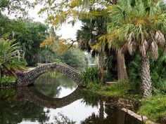 a stone bridge over a river surrounded by palm trees