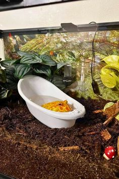 a bathtub filled with dirt next to plants