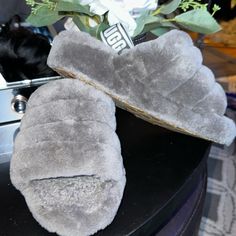 Grey Ugg Sandals . Fluffy And Soft ! Nwot Grey Ugg, Ugg Sandals, Shoes Ugg, Womens Uggs, Ugg Shoes, Cute Shoes, Women's Shoes Sandals, Shoes Sandals, Slippers